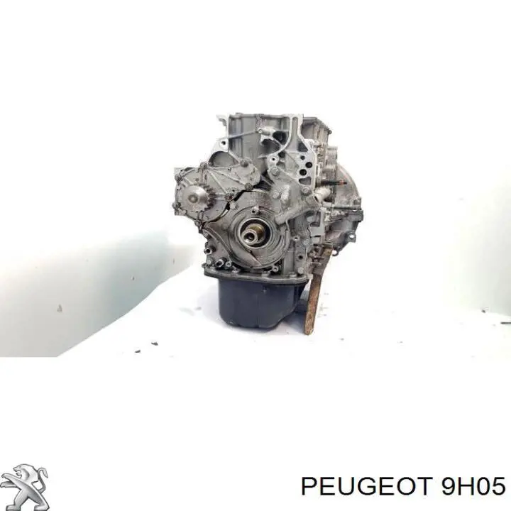 9HC Peugeot/Citroen Мотор в зборі