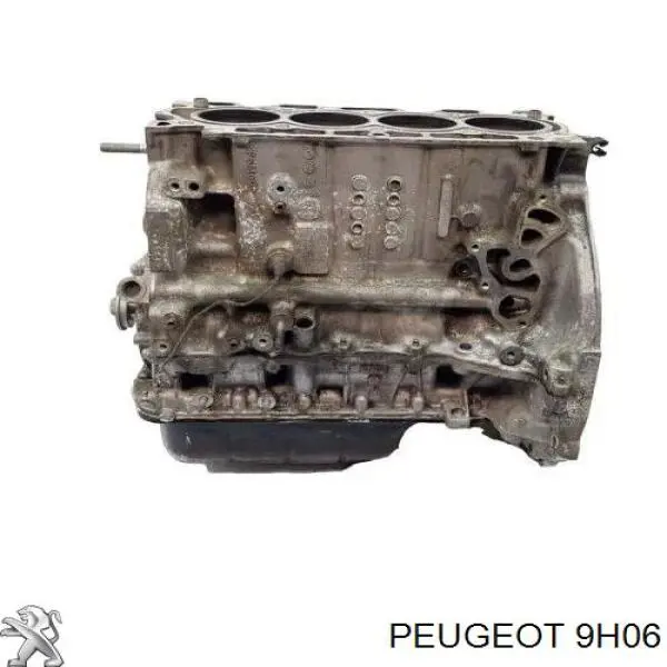 9H06 Peugeot/Citroen Мотор в зборі