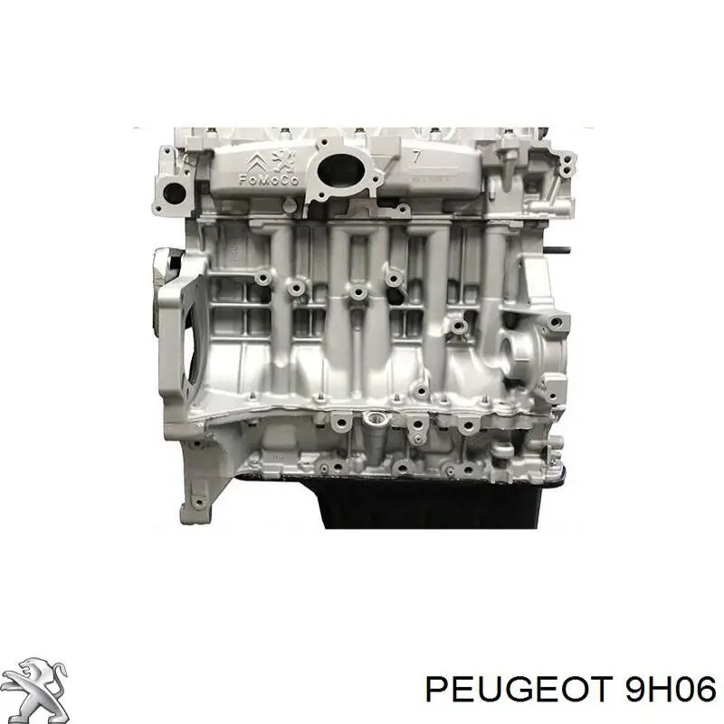 ДВЗ Peugeot/Citroen 9H06 ціна, від 969.16 USD