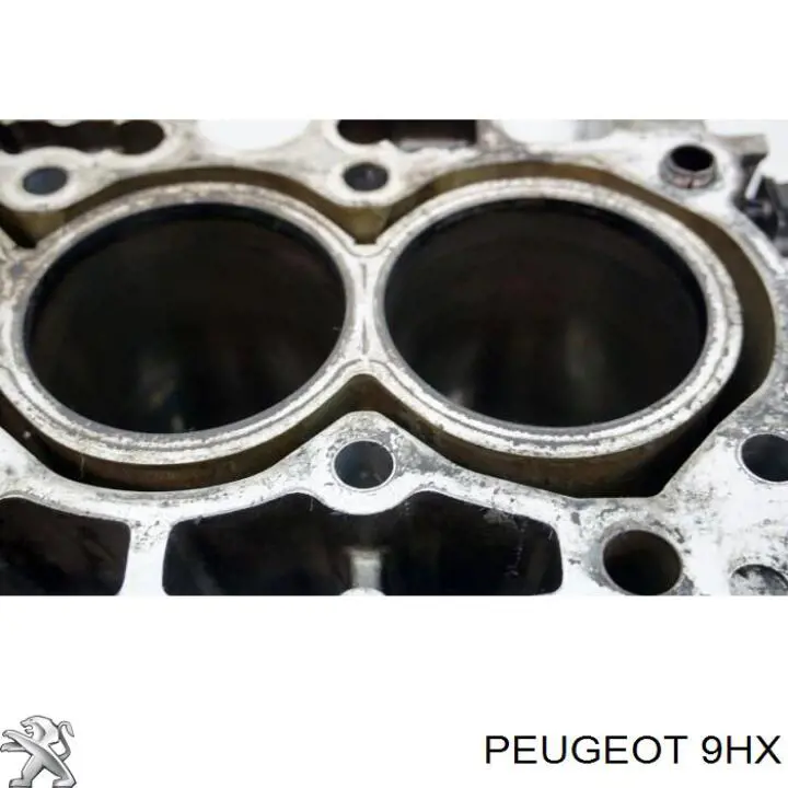 9HX Peugeot/Citroen двигун у зборі