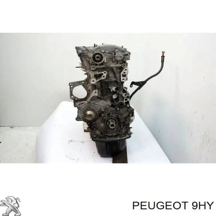 Купити 9HY Peugeot/Citroen Двигун