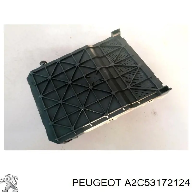  Peugeot/Citroen A2C53172124 ціна, від 30.93 USD