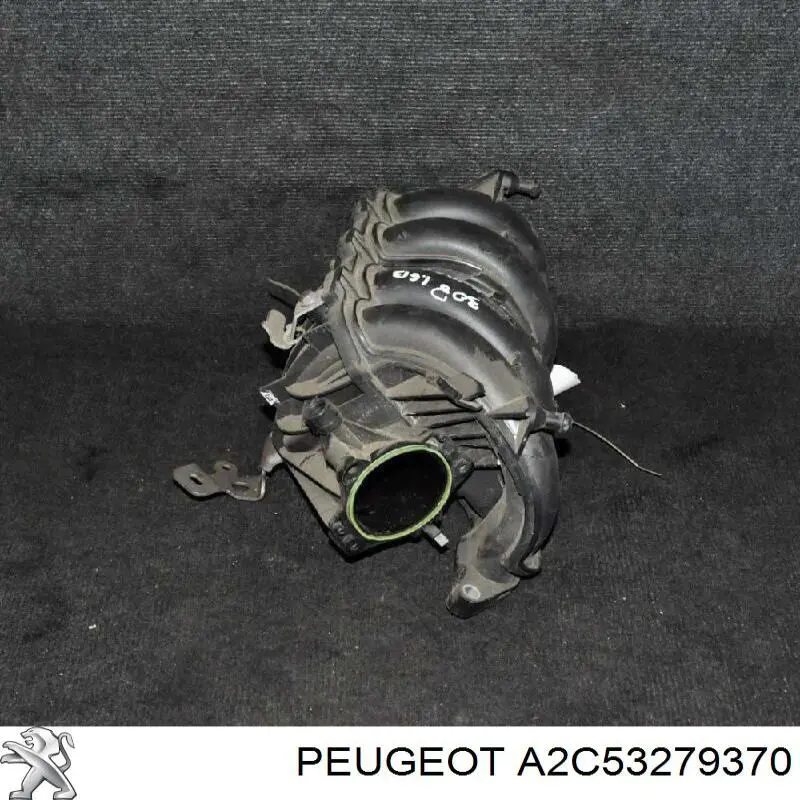 A2C53279370 Peugeot/Citroen 