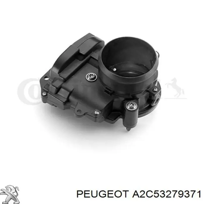 A2C53279371 Peugeot/Citroen 