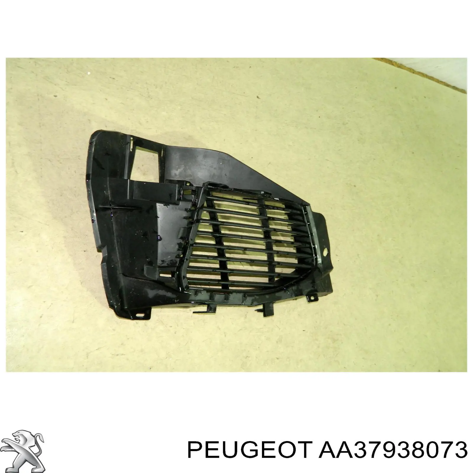 Купити AA37938073 Peugeot/Citroen 