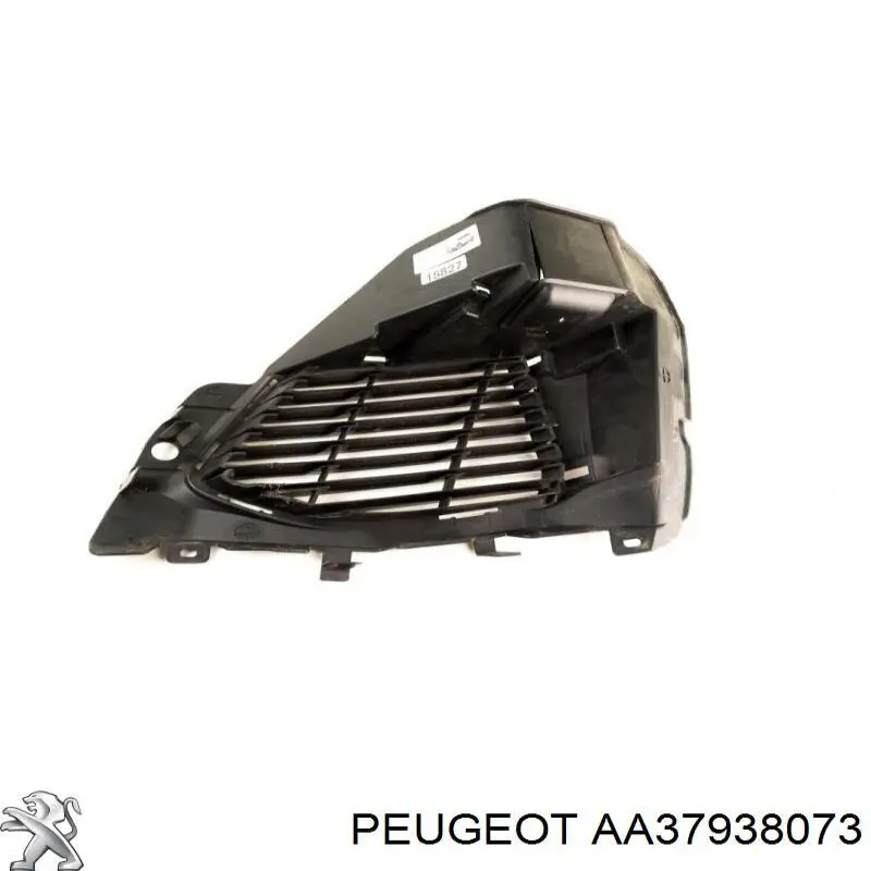  AA37938073 Peugeot/Citroen