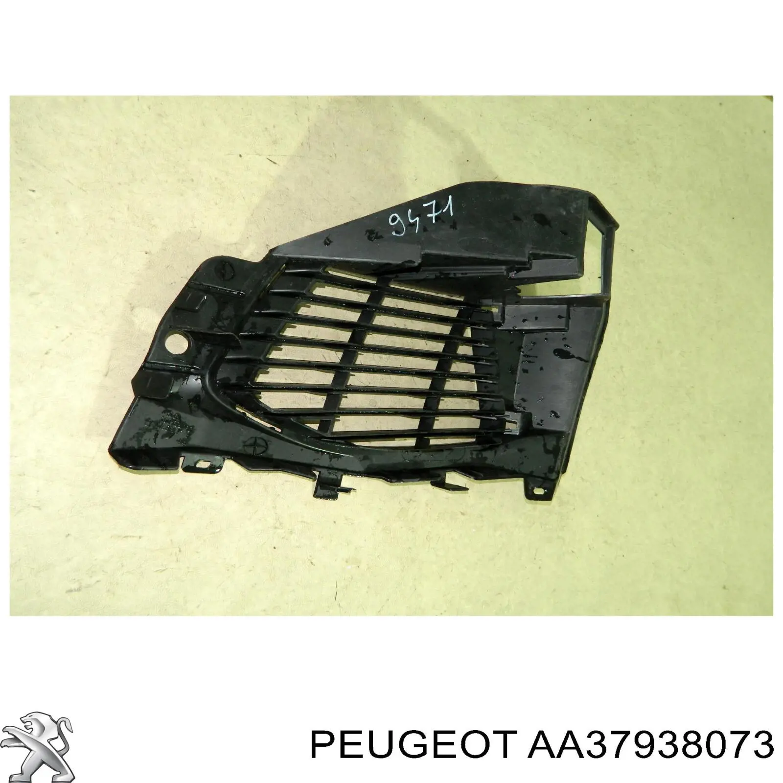 AA37938073 Peugeot/Citroen 