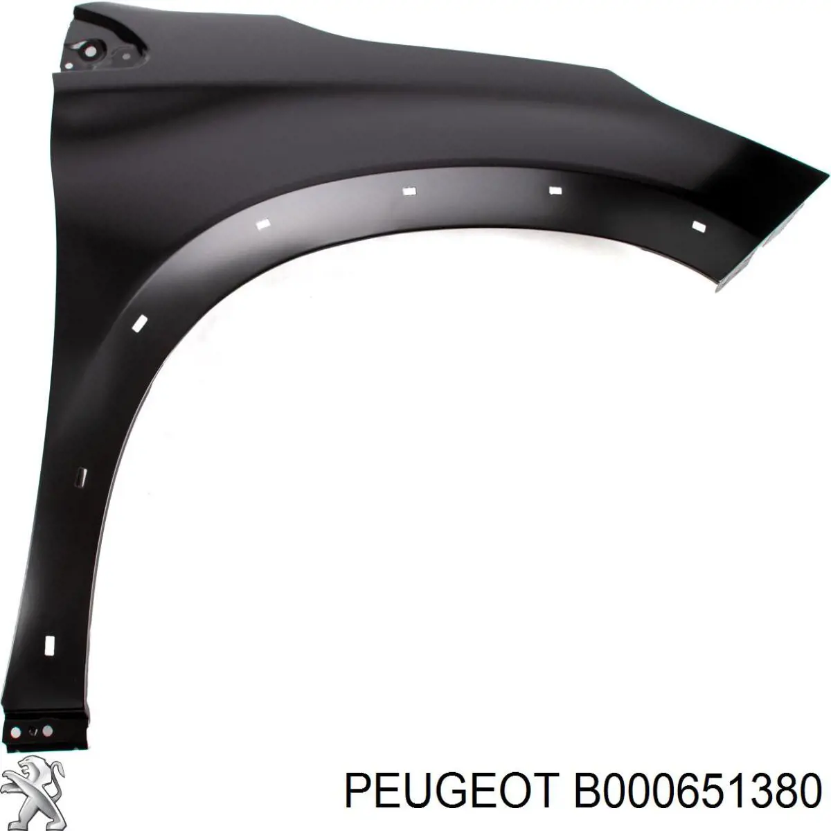  B000651380 Peugeot/Citroen