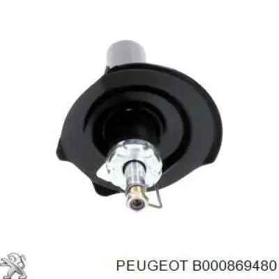 Амортизатор передній, правий Peugeot/Citroen B000869480 ціна, від 35.18 USD