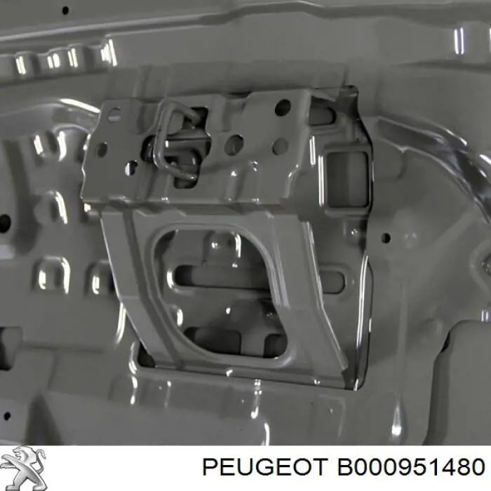 Капот B000951480 Peugeot/Citroen