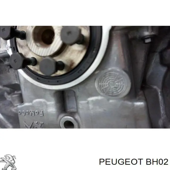 Купити BH02 Peugeot/Citroen Двигун