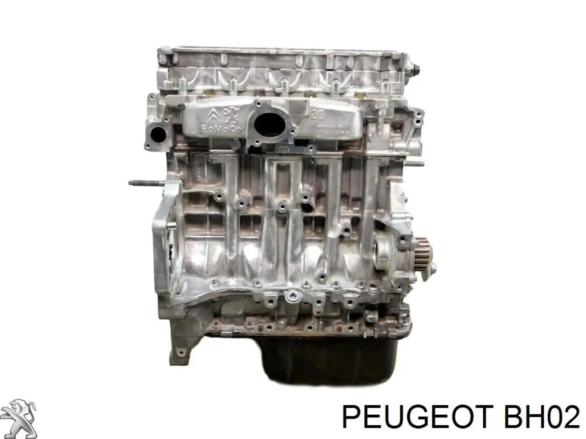 BH02 Peugeot/Citroen Мотор в зборі