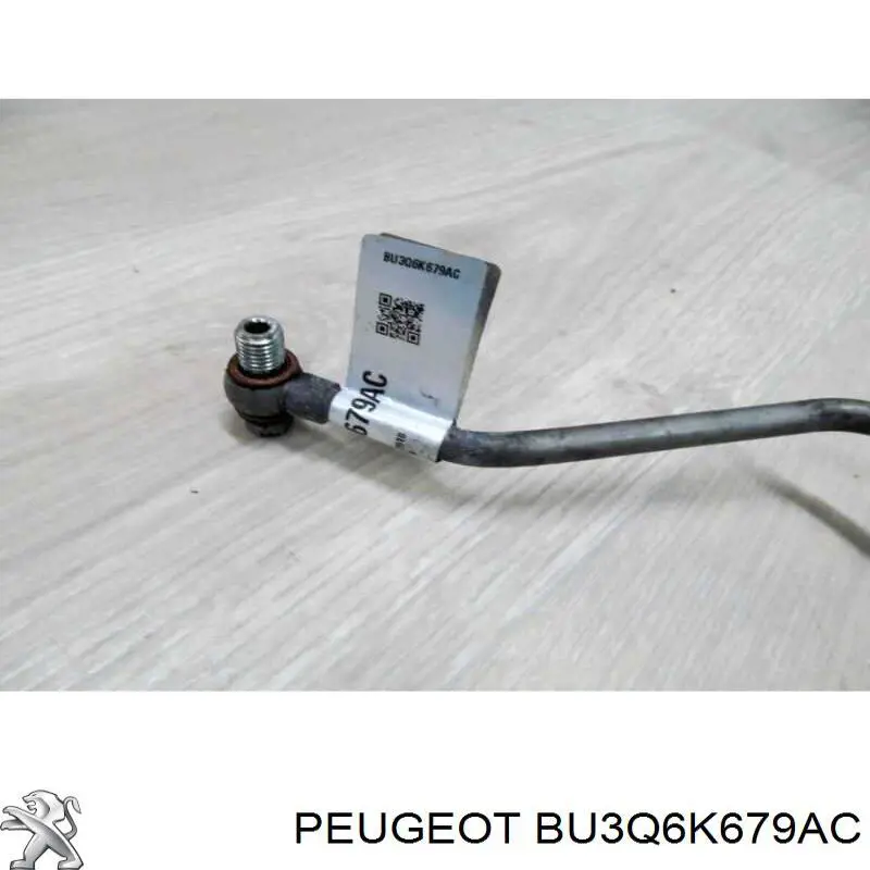 BU3Q6K679AC Peugeot/Citroen 