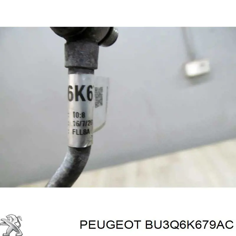  BU3Q6K679AC Peugeot/Citroen