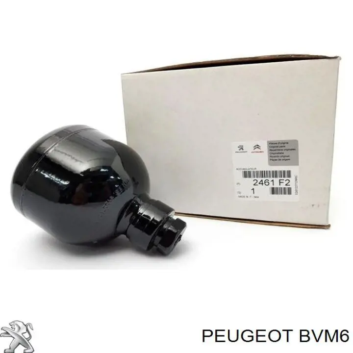  BVM6 Peugeot/Citroen