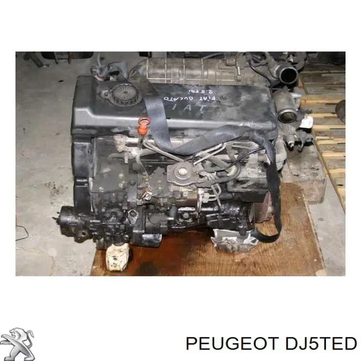 DJ5TED Peugeot/Citroen 