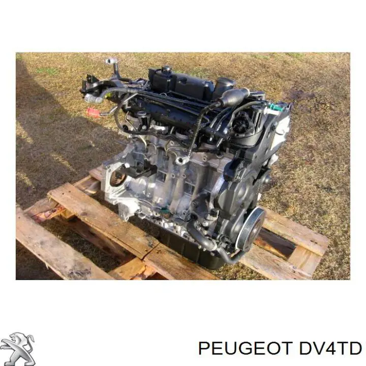  Двигун у зборі Peugeot 206 