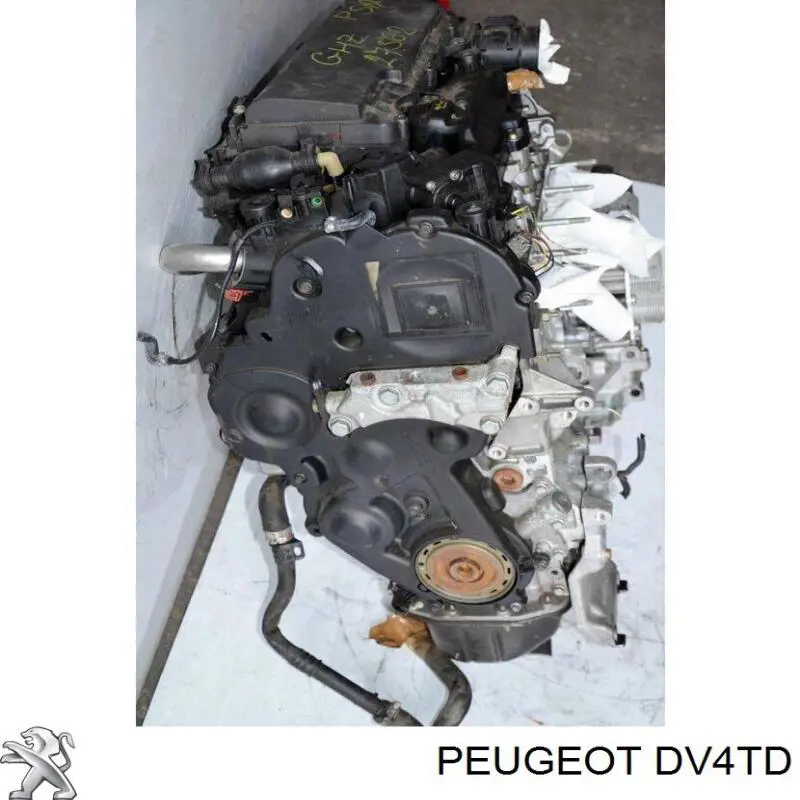 Купити DV4TD Peugeot/Citroen Двигун