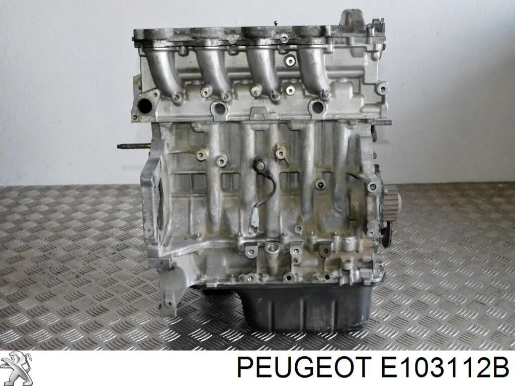 Купити E103112B Peugeot/Citroen 