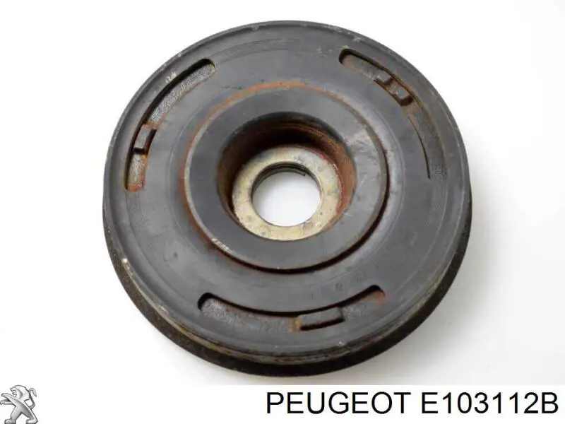 E103112B Peugeot/Citroen 