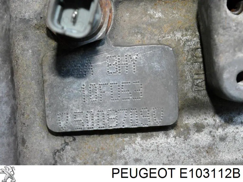  E103112B Peugeot/Citroen