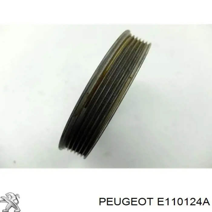 E110124A Peugeot/Citroen 