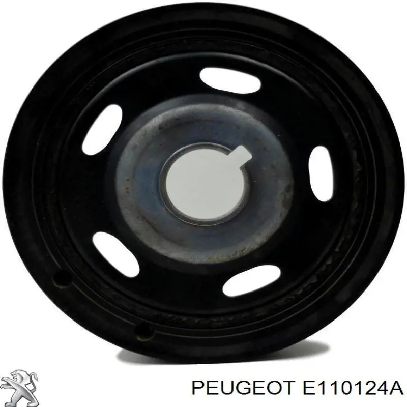  Peugeot/Citroen E110124A ціна, від 4.13 USD