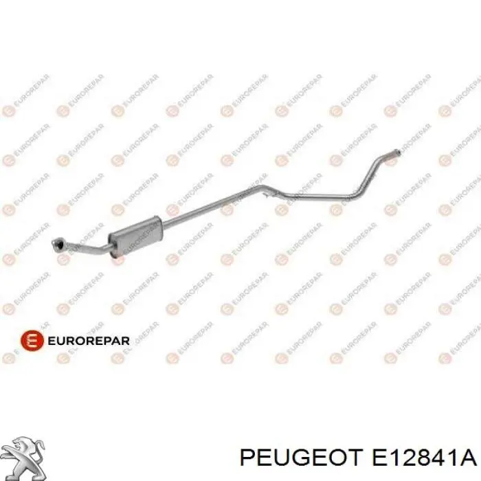 Купити E12841A Peugeot/Citroen 