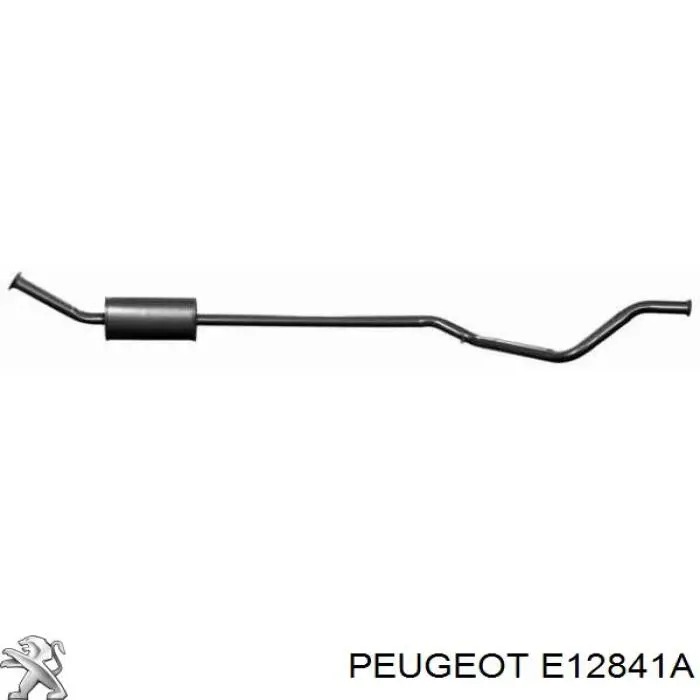E12841A Peugeot/Citroen 