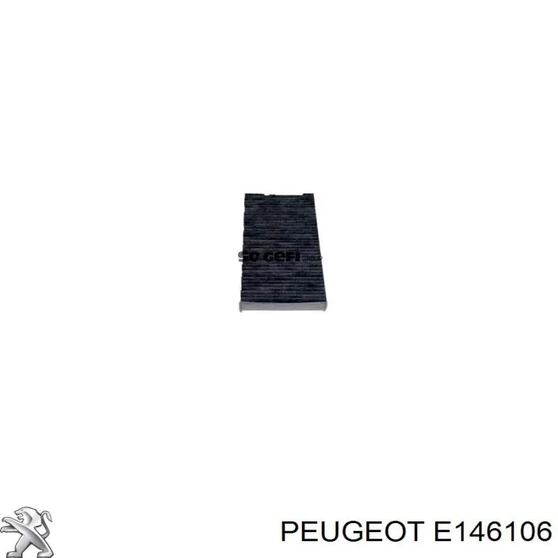 Купити E146106 Peugeot/Citroen Фільтр салону вугільний