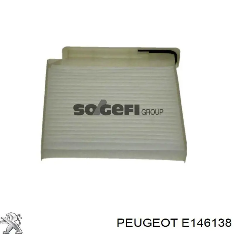 E146138 Peugeot/Citroen Внутрішньосалонний фільтр