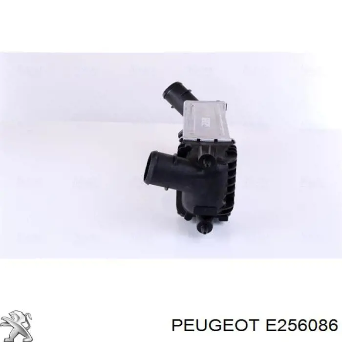 Купити E256086 Peugeot/Citroen Радіатор интеркуллера