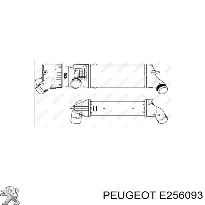 E256093 Peugeot/Citroen радіатор интеркуллера