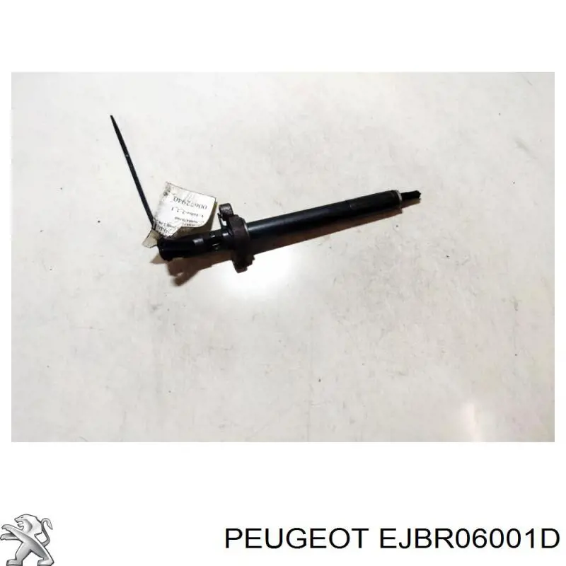 Купити EJBR06001D Peugeot/Citroen Форсунка дизельна в зборі, розпилювач + тримач