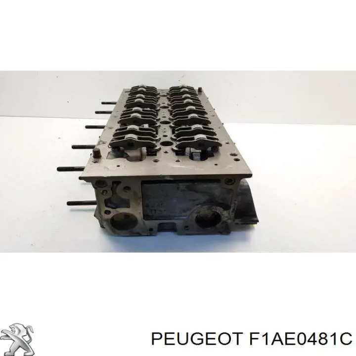 Двигун у зборі F1AE0481C Peugeot/Citroen