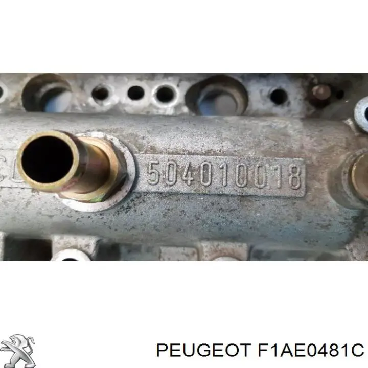 F1AE0481C Peugeot/Citroen Мотор в зборі