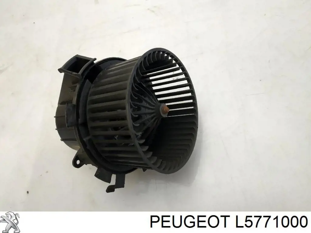 L5771000 Peugeot/Citroen 