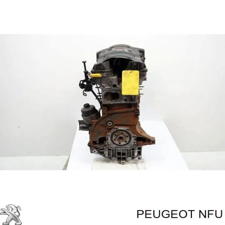 Двигун у зборі Peugeot 307 200 (3B) (Пежо 307)