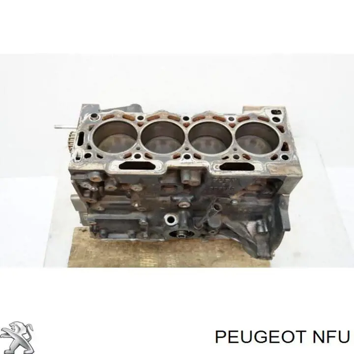 NFU Peugeot/Citroen Мотор в зборі