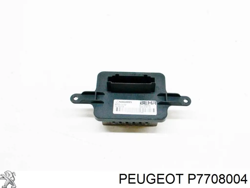 P7708004 Peugeot/Citroen 