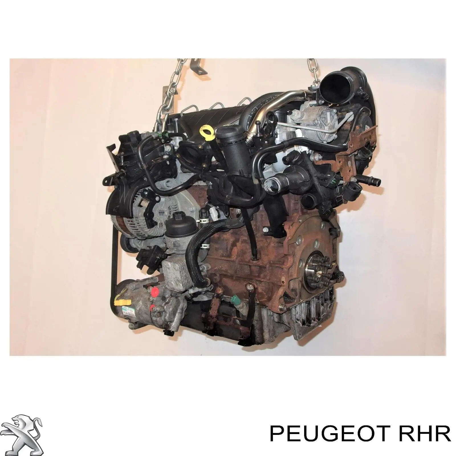 Купити RHK Fiat/Alfa/Lancia Двигун