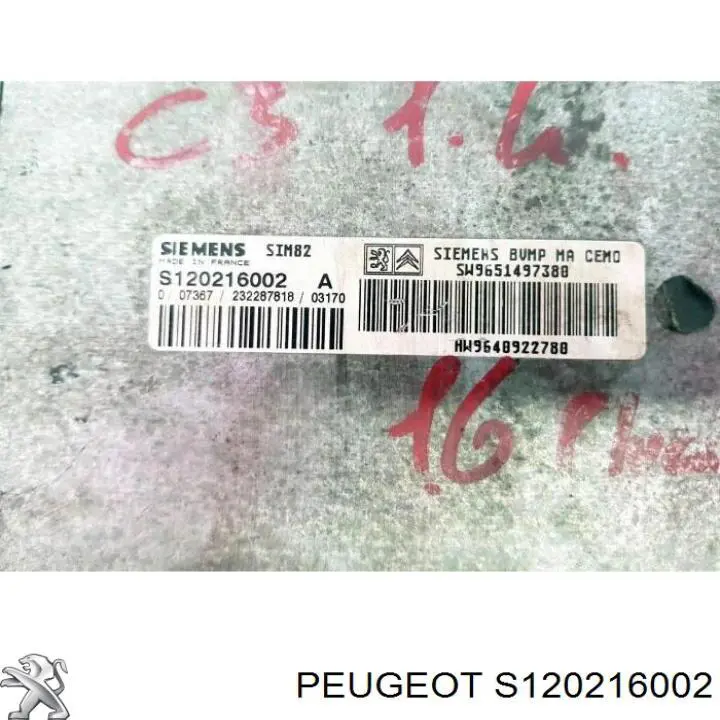 S120216002 Peugeot/Citroen