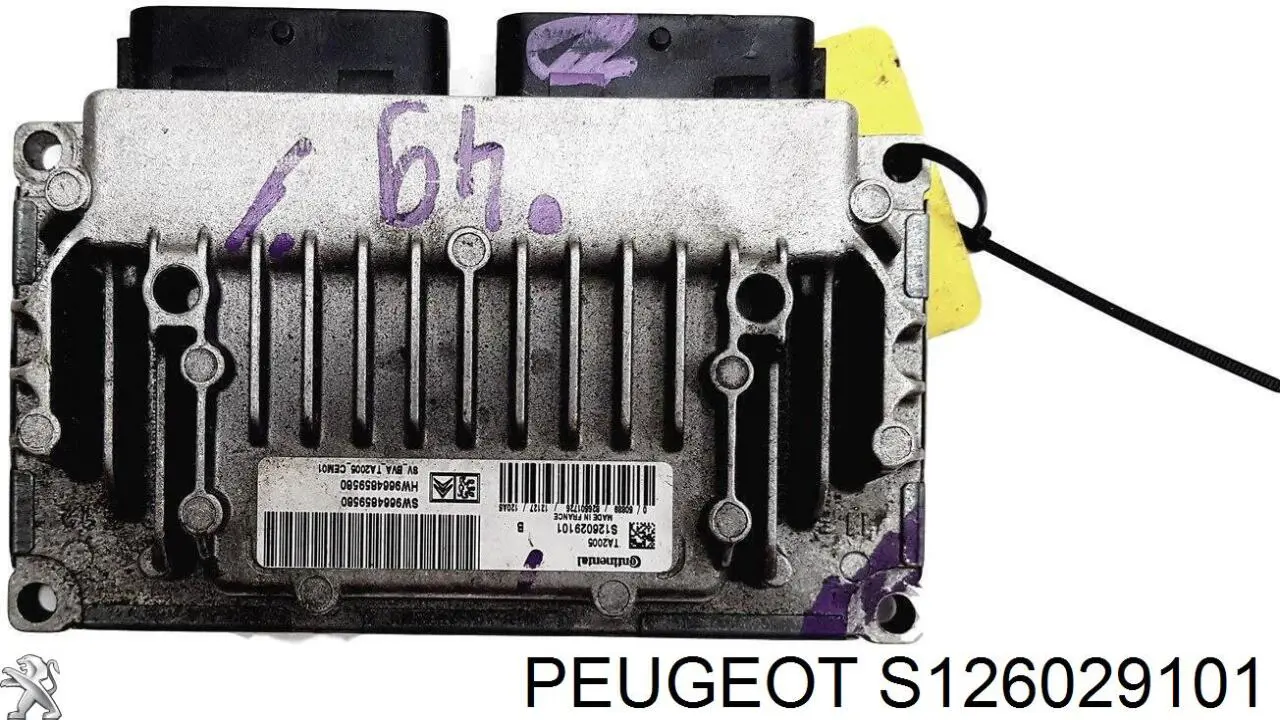 S126029101 Peugeot/Citroen 