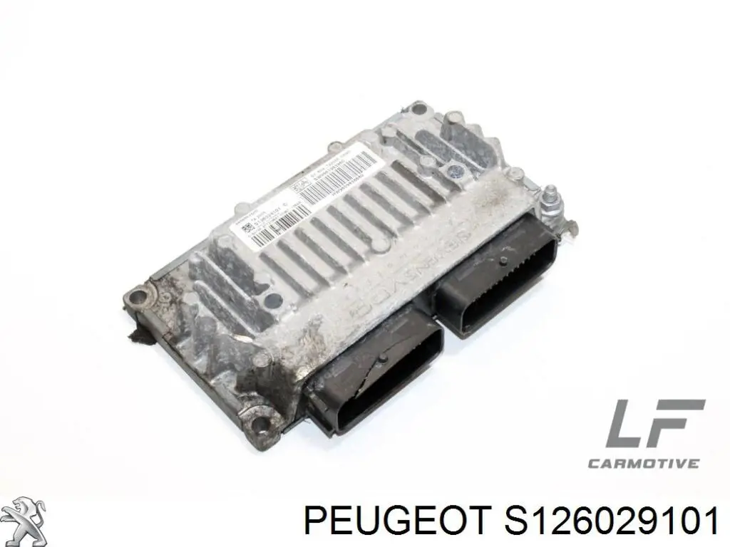  S126029101 Peugeot/Citroen
