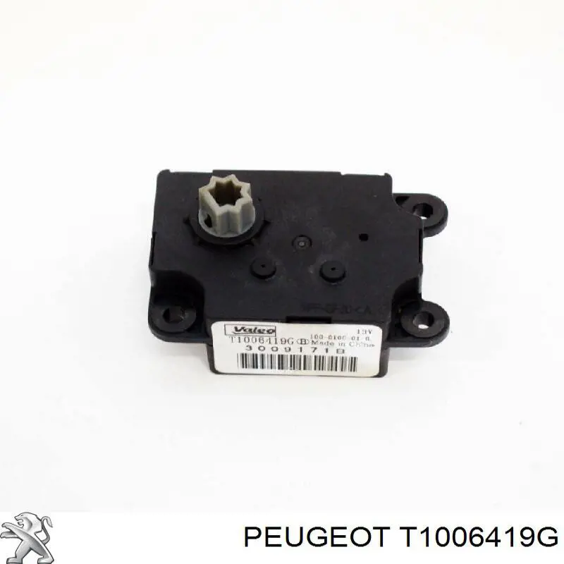 T1006419G Peugeot/Citroen Двигун заслінки рециркуляції повітря