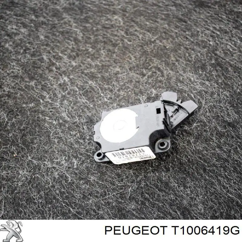 Купити T1006419G Peugeot/Citroen Двигун заслінки рециркуляції повітря
