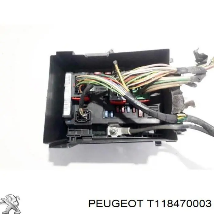 T118470003 Peugeot/Citroen 
