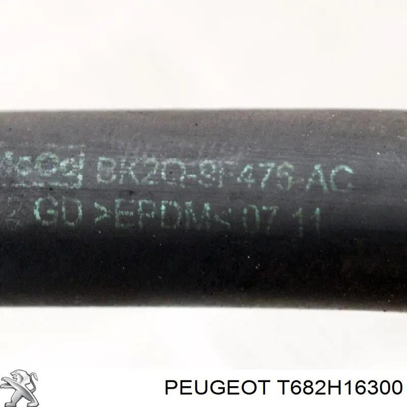Купити T682H16300 Peugeot/Citroen 