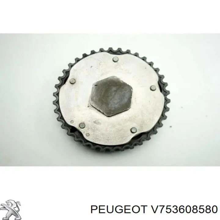  Peugeot/Citroen V753608580