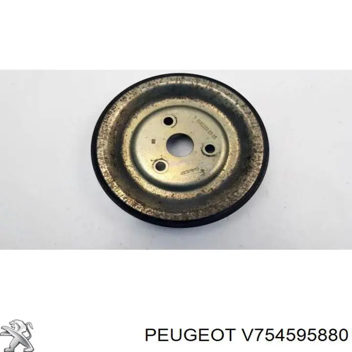 V754595880 Peugeot/Citroen 
